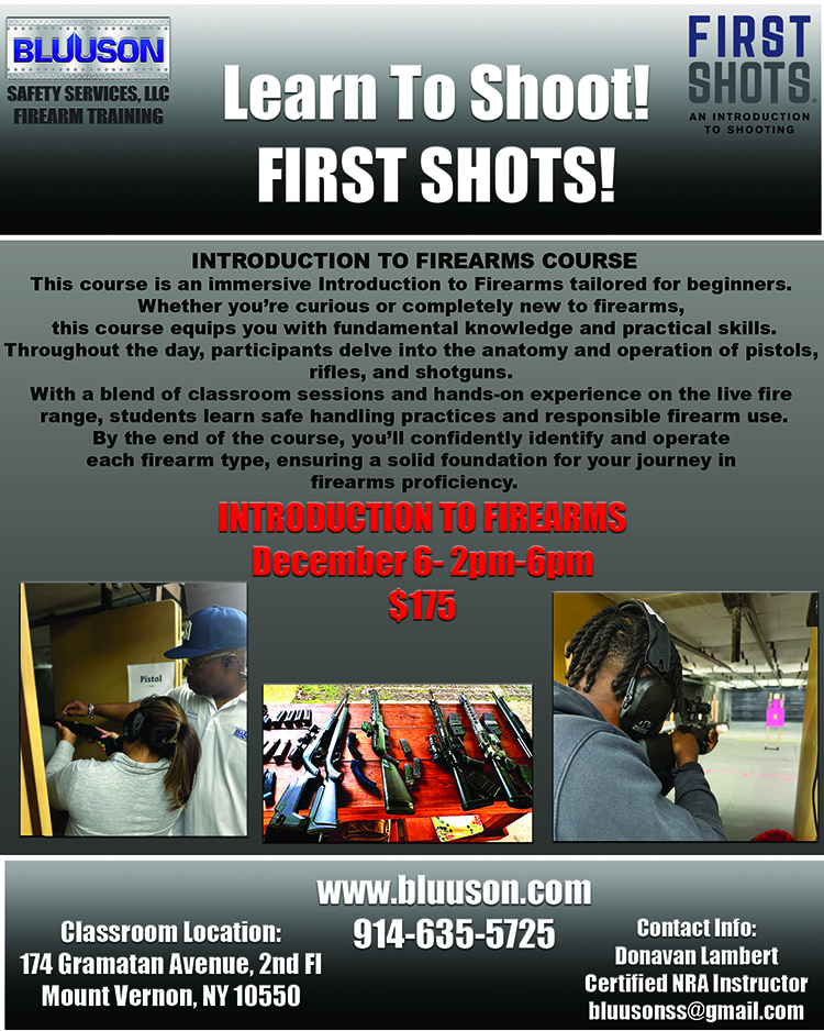 Bluuson_IntroToFA_December2025_FirstShots_Flyer